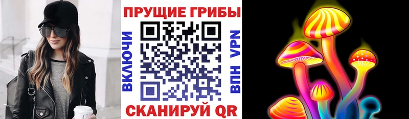 Галлюциногенные грибы ЛСД  Купить закладки  Озёры 